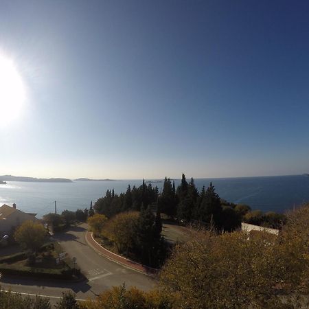 Apartments Dalmatia Blue Mlini Bagian luar foto