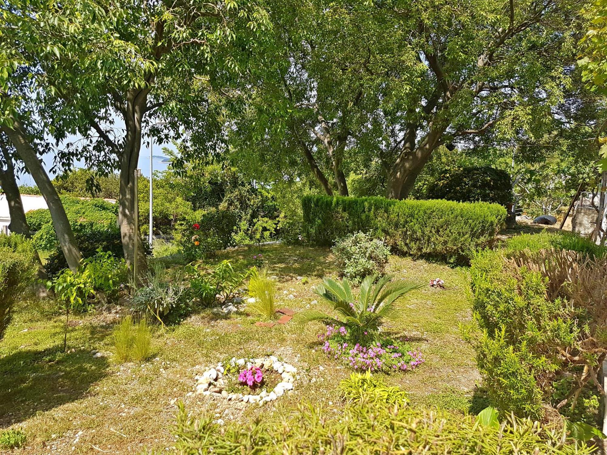 Apartments Dalmatia Blue Mlini Ruang foto