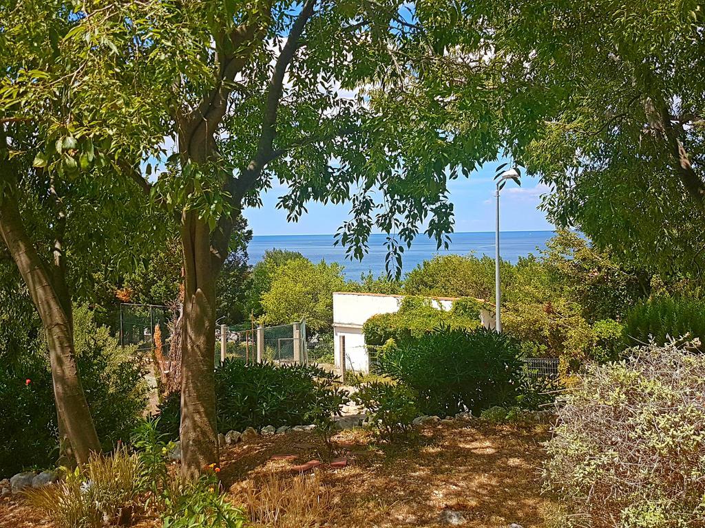 Apartments Dalmatia Blue Mlini Bagian luar foto