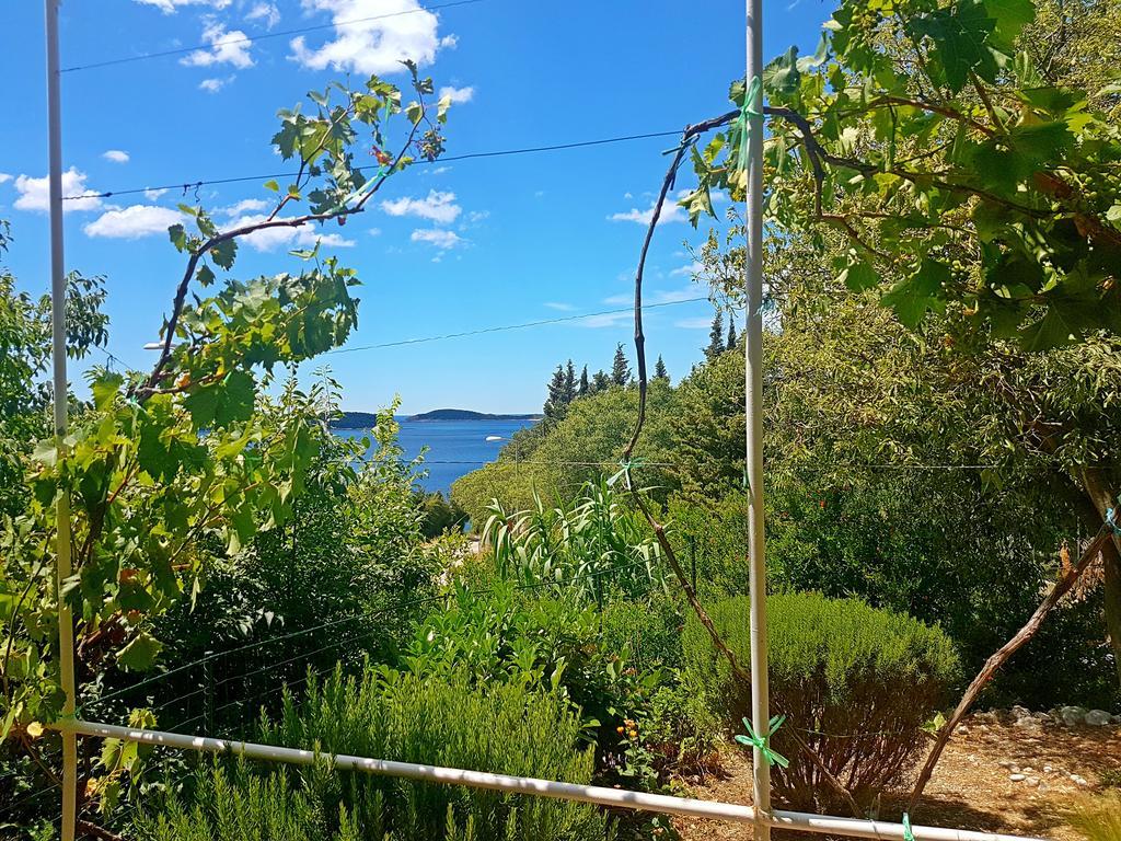 Apartments Dalmatia Blue Mlini Bagian luar foto